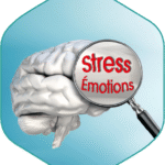 cerveau, loupe, mots stress et émotions